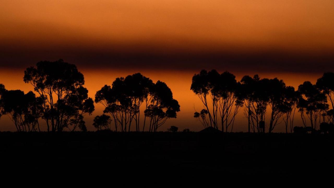 Hotel California Road At Inkwell Wines Mclaren Vale Esterno foto