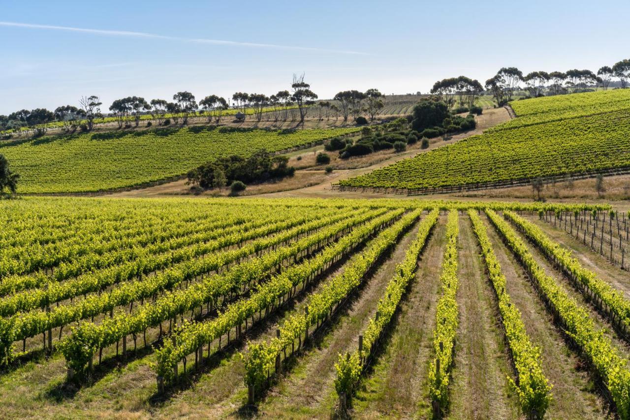 Hotel California Road At Inkwell Wines Mclaren Vale Esterno foto
